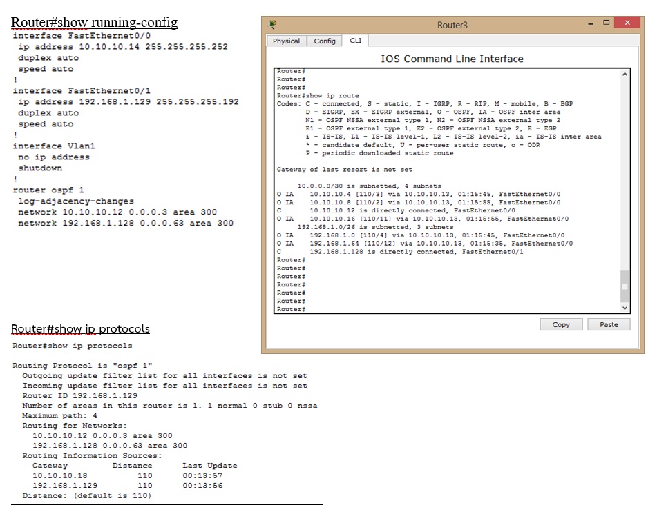 Open Shortest Path First (OSPF)