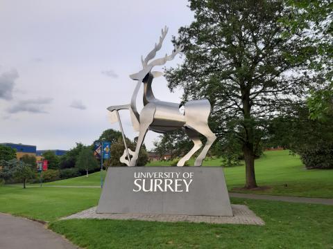 University of surrey